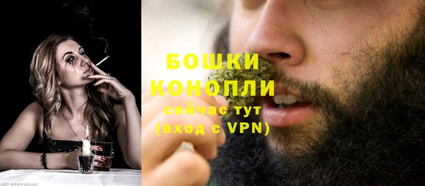 PSILOCYBIN Алзамай