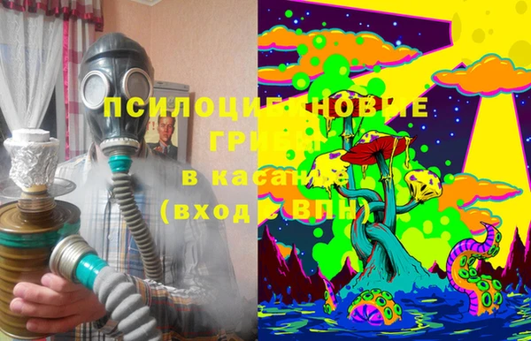 бошки Абдулино