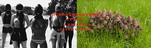тгк Абинск