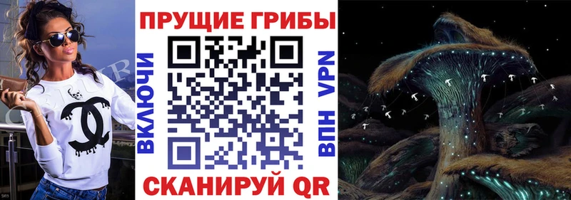 цены наркотик  Домодедово  Галлюциногенные грибы Psilocybine cubensis 